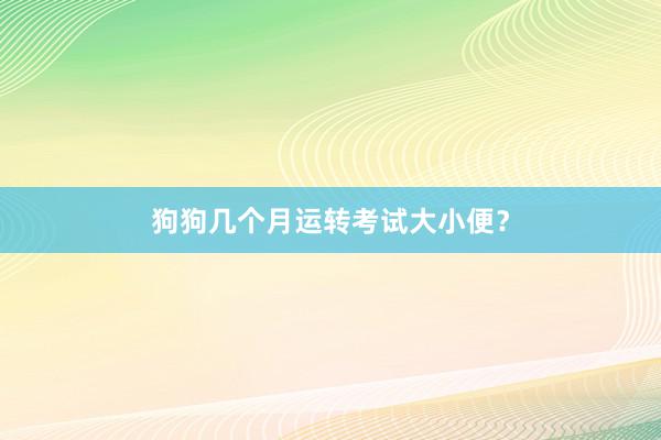 狗狗几个月运转考试大小便？