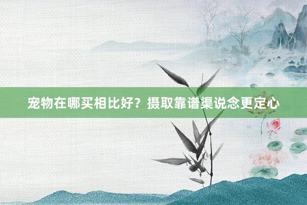 宠物在哪买相比好?摄取靠谱渠说念更定心